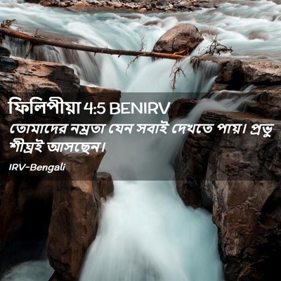 Picture 02 - ফিলিপীয়া 4:5 BENIRV - তোমাদের নম্রতা - Bible Verse Picture