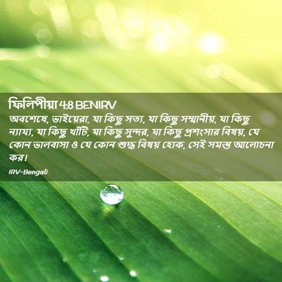 Picture 02 - ফিলিপীয়া 4:8 BENIRV - অবশেষে, ভাইয়েরা, - Bible Verse Picture