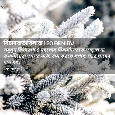 Picture 02 - বিচাৰকর্তাবিলাক 1:30 BENIRV - সবূলূন কিটরোণ ও - Bible Verse Picture
