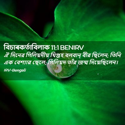 Picture 02 - বিচাৰকর্তাবিলাক 11:1 BENIRV - ঐ দিনের - Bible Verse Picture