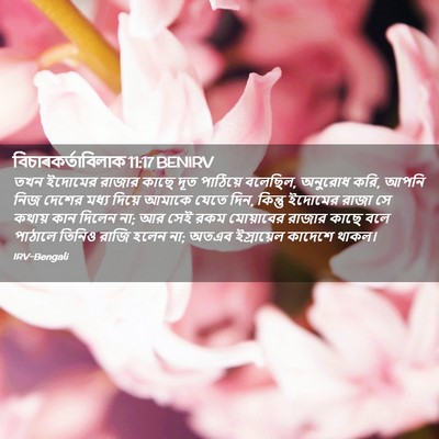 Picture 02 - বিচাৰকর্তাবিলাক 11:17 BENIRV - তখন ইদোমের রাজার - Bible Verse Picture