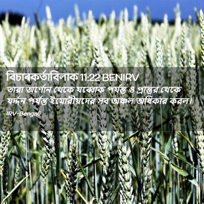 Picture 02 - বিচাৰকর্তাবিলাক 11:22 BENIRV - তারা অর্ণোন থেকে - Bible Verse Picture