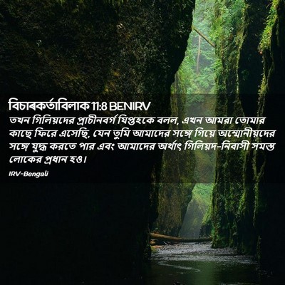 Picture 02 - বিচাৰকর্তাবিলাক 11:8 BENIRV - তখন গিলিয়দের - Bible Verse Picture