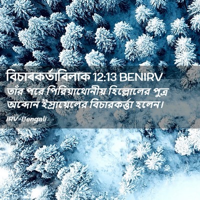 Picture 02 - বিচাৰকর্তাবিলাক 12:13 BENIRV - তাঁর পরে - Bible Verse Picture