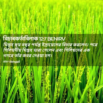 Picture 02 - বিচাৰকর্তাবিলাক 12:7 BENIRV - যিপ্তহ ছয় বছর - Bible Verse Picture