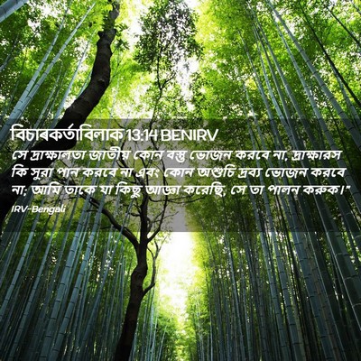 Picture 02 - বিচাৰকর্তাবিলাক 13:14 BENIRV - সে দ্রাক্ষালতা - Bible Verse Picture