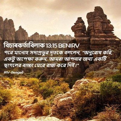Picture 02 - বিচাৰকর্তাবিলাক 13:15 BENIRV - পরে মানোহ - Bible Verse Picture