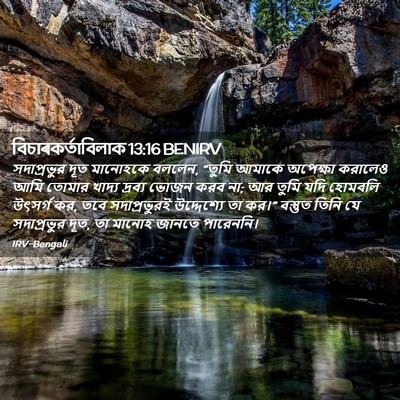 Picture 02 - বিচাৰকর্তাবিলাক 13:16 BENIRV - সদাপ্রভুর দূত - Bible Verse Picture