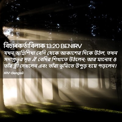 Picture 02 - বিচাৰকর্তাবিলাক 13:20 BENIRV - যখন অগ্নিশিখা - Bible Verse Picture