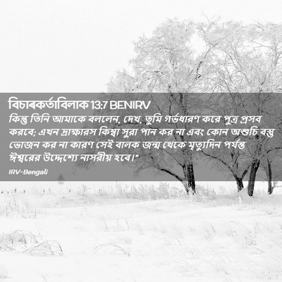 Picture 02 - বিচাৰকর্তাবিলাক 13:7 BENIRV - কিন্তু তিনি আমাকে - Bible Verse Picture