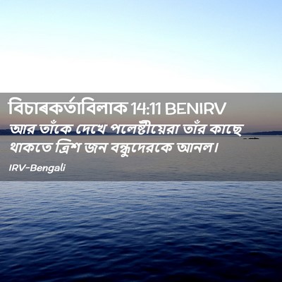 Picture 02 - বিচাৰকর্তাবিলাক 14:11 BENIRV - আর তাঁকে দেখে - Bible Verse Picture