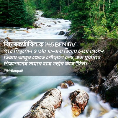 Picture 02 - বিচাৰকর্তাবিলাক 14:5 BENIRV - পরে শিম্‌শোন ও - Bible Verse Picture