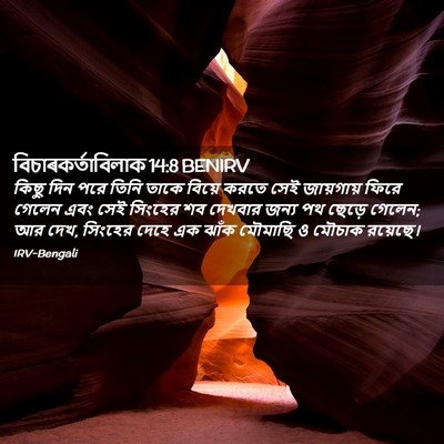 Picture 02 - বিচাৰকর্তাবিলাক 14:8 BENIRV - কিছু দিন পরে তিনি - Bible Verse Picture