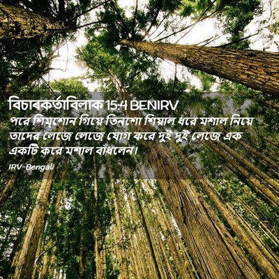 Picture 02 - বিচাৰকর্তাবিলাক 15:4 BENIRV - পরে শিম্‌শোন - Bible Verse Picture