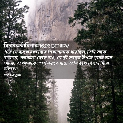 Picture 02 - বিচাৰকর্তাবিলাক 16:26 BENIRV - পরে যে বালক হাত - Bible Verse Picture