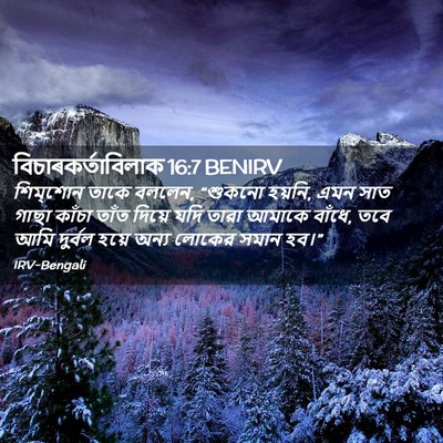 Picture 02 - বিচাৰকর্তাবিলাক 16:7 BENIRV - শিম্‌শোন তাকে - Bible Verse Picture