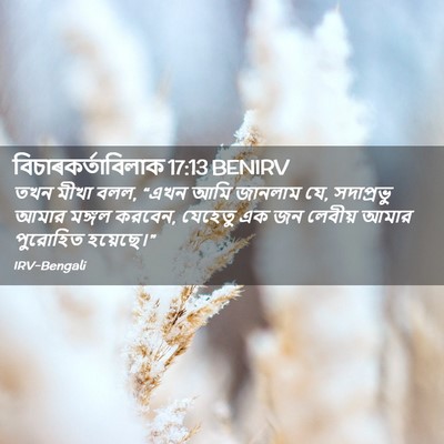 Picture 02 - বিচাৰকর্তাবিলাক 17:13 BENIRV - তখন মীখা বলল, “এখন - Bible Verse Picture