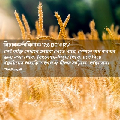Picture 02 - বিচাৰকর্তাবিলাক 17:8 BENIRV - সেই ব্যক্তি - Bible Verse Picture