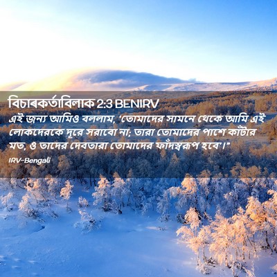 Picture 02 - বিচাৰকর্তাবিলাক 2:3 BENIRV - এই জন্য আমিও বললাম, - Bible Verse Picture
