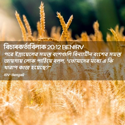 Picture 02 - বিচাৰকর্তাবিলাক 20:12 BENIRV - পরে ইস্রায়েলের - Bible Verse Picture