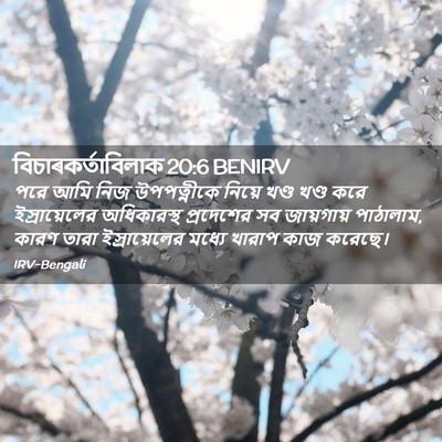 Picture 02 - বিচাৰকর্তাবিলাক 20:6 BENIRV - পরে আমি নিজ - Bible Verse Picture