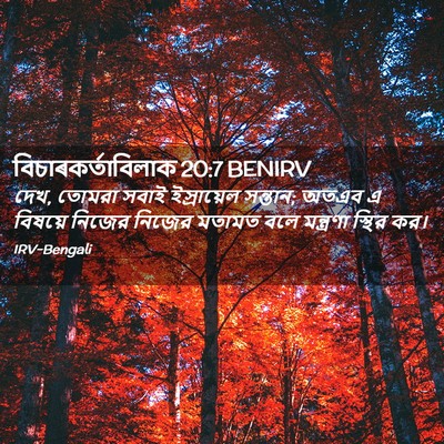 Picture 02 - বিচাৰকর্তাবিলাক 20:7 BENIRV - দেখ, তোমরা সবাই - Bible Verse Picture