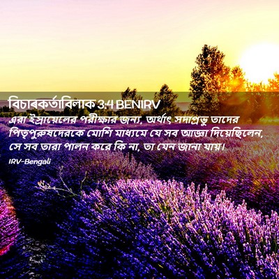 Picture 02 - বিচাৰকর্তাবিলাক 3:4 BENIRV - এরা ইস্রায়েলের - Bible Verse Picture
