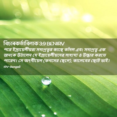 Picture 02 - বিচাৰকর্তাবিলাক 3:9 BENIRV - পরে - Bible Verse Picture