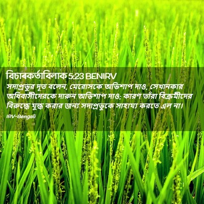 Picture 02 - বিচাৰকর্তাবিলাক 5:23 BENIRV - সদাপ্রভুর দূত - Bible Verse Picture