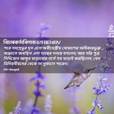 Picture 02 - বিচাৰকর্তাবিলাক 6:11 BENIRV - পরে সদাপ্রভুর দূত - Bible Verse Picture