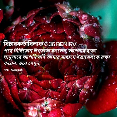 Picture 02 - বিচাৰকর্তাবিলাক 6:36 BENIRV - পরে গিদিয়োন - Bible Verse Picture