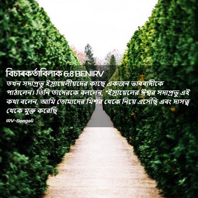 Picture 02 - বিচাৰকর্তাবিলাক 6:8 BENIRV - তখন সদাপ্রভু - Bible Verse Picture