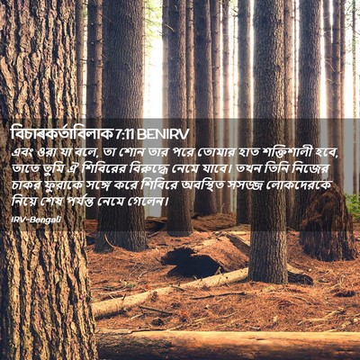Picture 02 - বিচাৰকর্তাবিলাক 7:11 BENIRV - এবং ওরা যা বলে, তা - Bible Verse Picture