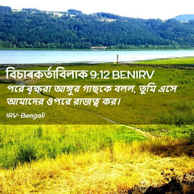 Picture 02 - বিচাৰকর্তাবিলাক 9:12 BENIRV - পরে বৃক্ষরা - Bible Verse Picture