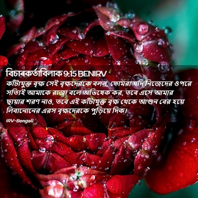 Picture 02 - বিচাৰকর্তাবিলাক 9:15 BENIRV - কাঁটাযুক্ত বৃক্ষ - Bible Verse Picture