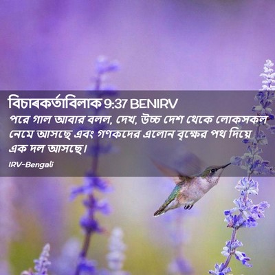 Picture 02 - বিচাৰকর্তাবিলাক 9:37 BENIRV - পরে গাল আবার বলল, - Bible Verse Picture