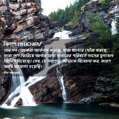 Picture 02 - বিলাপ 1:11 BENIRV - তার সব লোকেরা - Bible Verse Picture