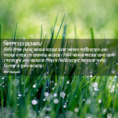 Picture 02 - বিলাপ 1:13 BENIRV - তিনি উপর থেকে আমার - Bible Verse Picture