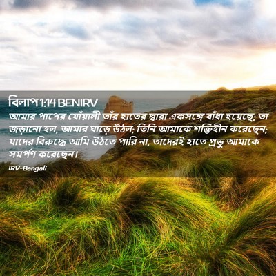 Picture 02 - বিলাপ 1:14 BENIRV - আমার পাপের - Bible Verse Picture