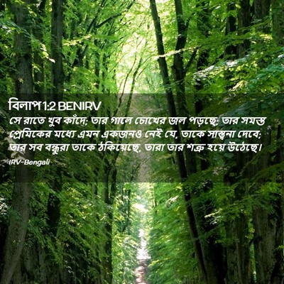 Picture 02 - বিলাপ 1:2 BENIRV - সে রাতে খুব কাঁদে; - Bible Verse Picture