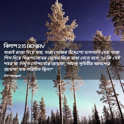 Picture 02 - বিলাপ 2:15 BENIRV - যারাই রাস্তা - Bible Verse Picture