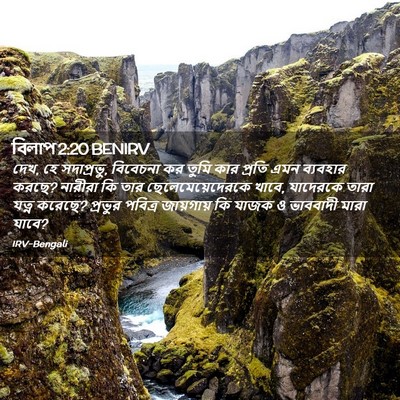 Picture 02 - বিলাপ 2:20 BENIRV - দেখ, হে সদাপ্রভু, - Bible Verse Picture