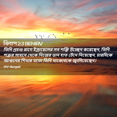 Picture 02 - বিলাপ 2:3 BENIRV - তিনি প্রচণ্ড রাগে - Bible Verse Picture