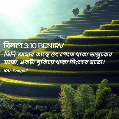 Picture 02 - বিলাপ 3:10 BENIRV - তিনি আমার কাছে ওৎ - Bible Verse Picture