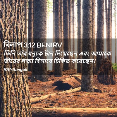 Picture 02 - বিলাপ 3:12 BENIRV - তিনি তাঁর ধনুকে - Bible Verse Picture