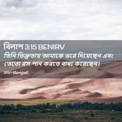 Picture 02 - বিলাপ 3:15 BENIRV - তিনি তিক্ততায় - Bible Verse Picture
