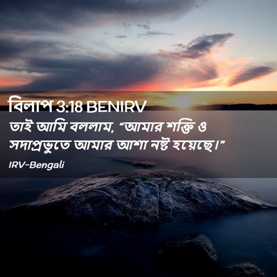 Picture 02 - বিলাপ 3:18 BENIRV - তাই আমি বললাম, - Bible Verse Picture