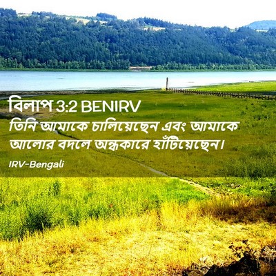 Picture 02 - বিলাপ 3:2 BENIRV - তিনি আমাকে - Bible Verse Picture