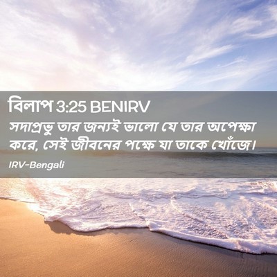 Picture 02 - বিলাপ 3:25 BENIRV - সদাপ্রভু তার - Bible Verse Picture