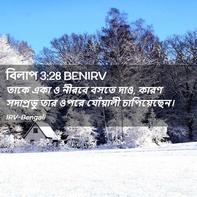 Picture 02 - বিলাপ 3:28 BENIRV - তাকে একা ও নীরবে - Bible Verse Picture